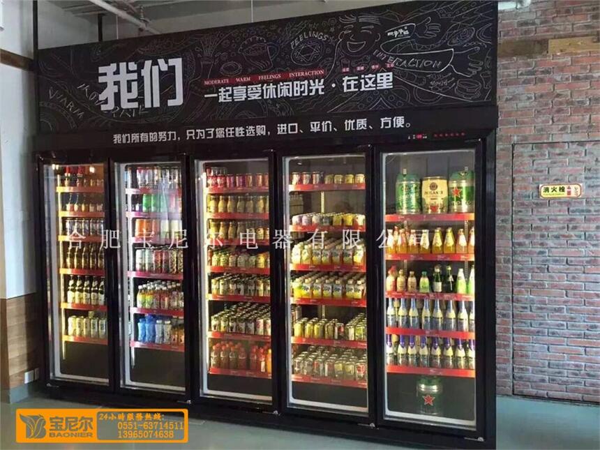 沈阳立式冷藏柜价格参考与选购指南