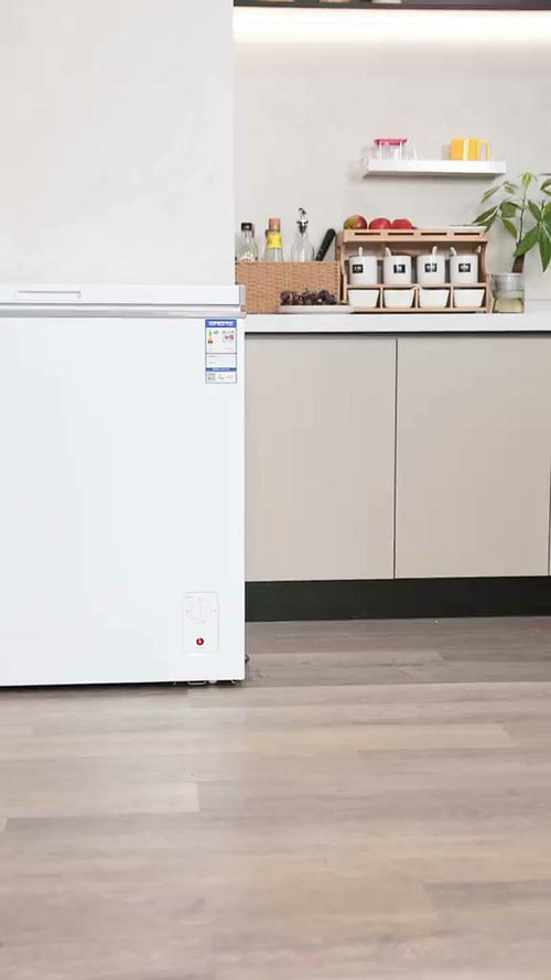 208升单温冷柜家用减霜冰柜冷藏柜冷冻柜小型冷柜卧式顶